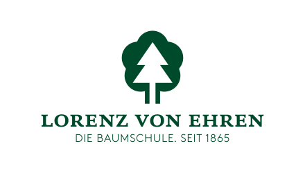 lve-logo Lorenz Von Ehren Logo