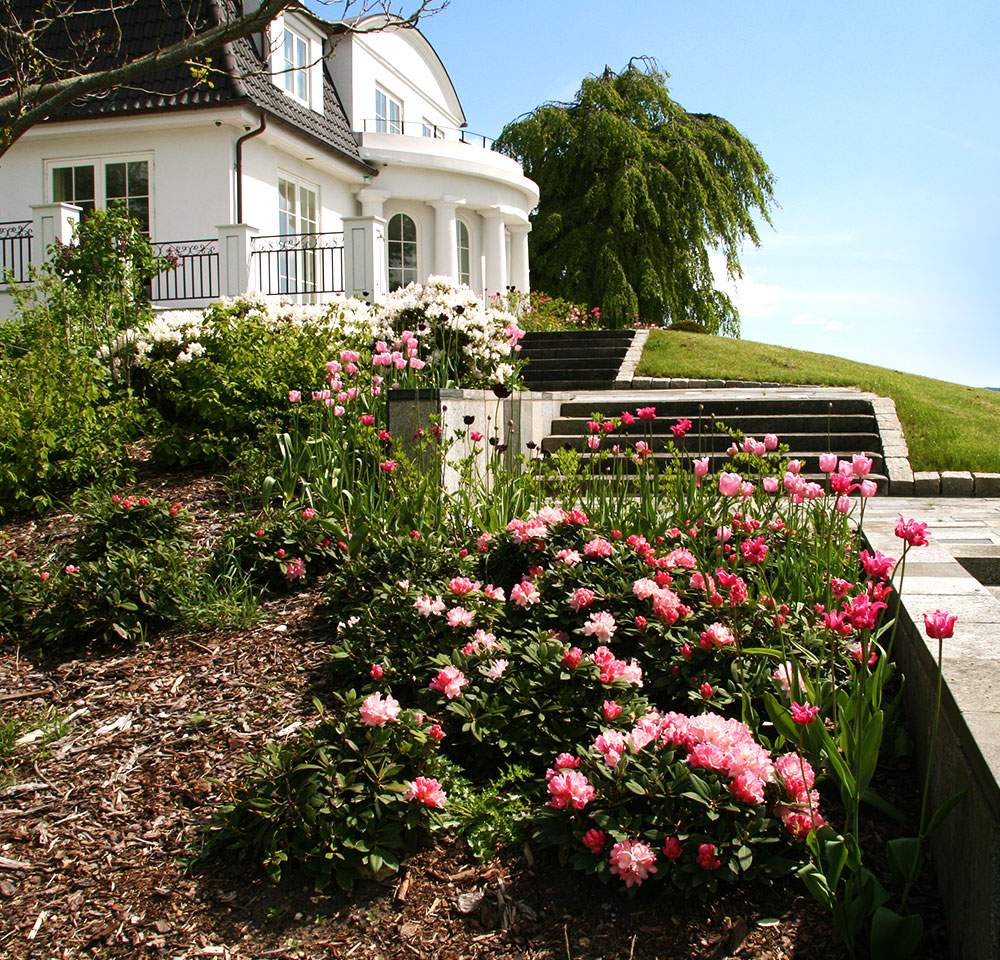 Geräumiges weißes Haus mit weitläufigem Rasen vor dem Haus.